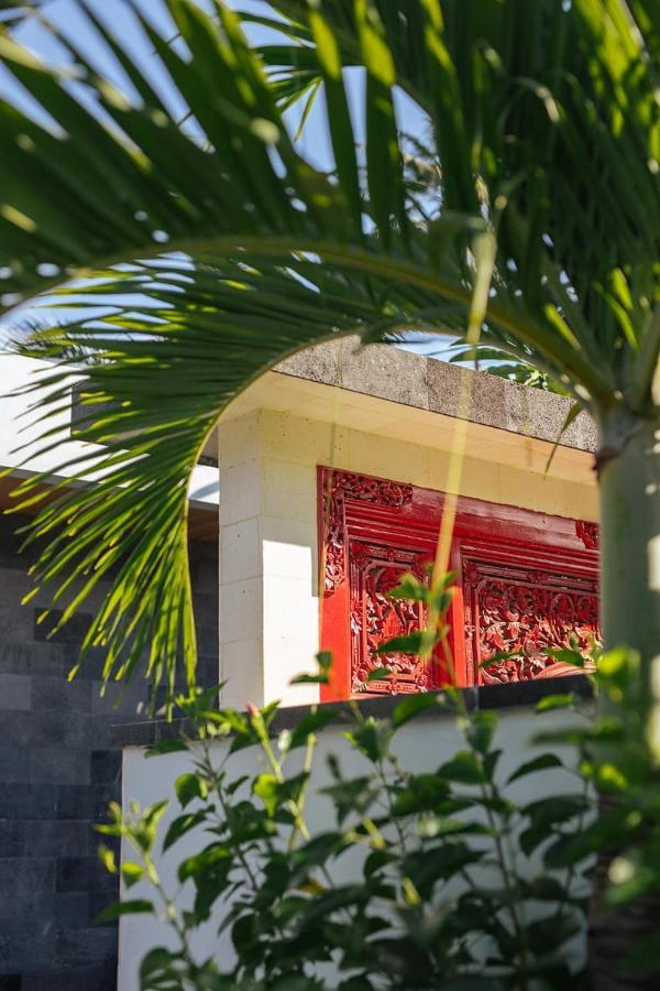 Hotel Le Chien Rouge Lovina Esterno foto